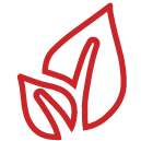 Icono 1